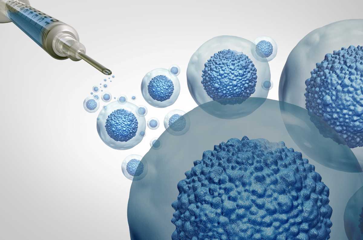 stem-cell.jpg